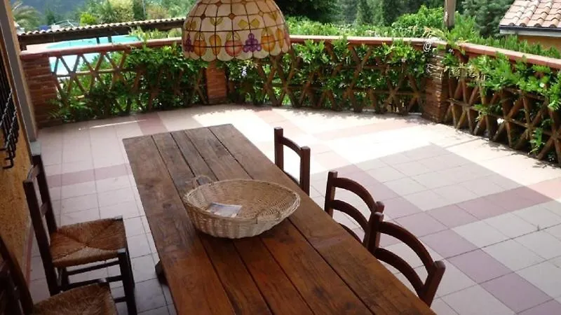 Il Carnasciale Pieve Di Camaiore -Bouganville- Italië