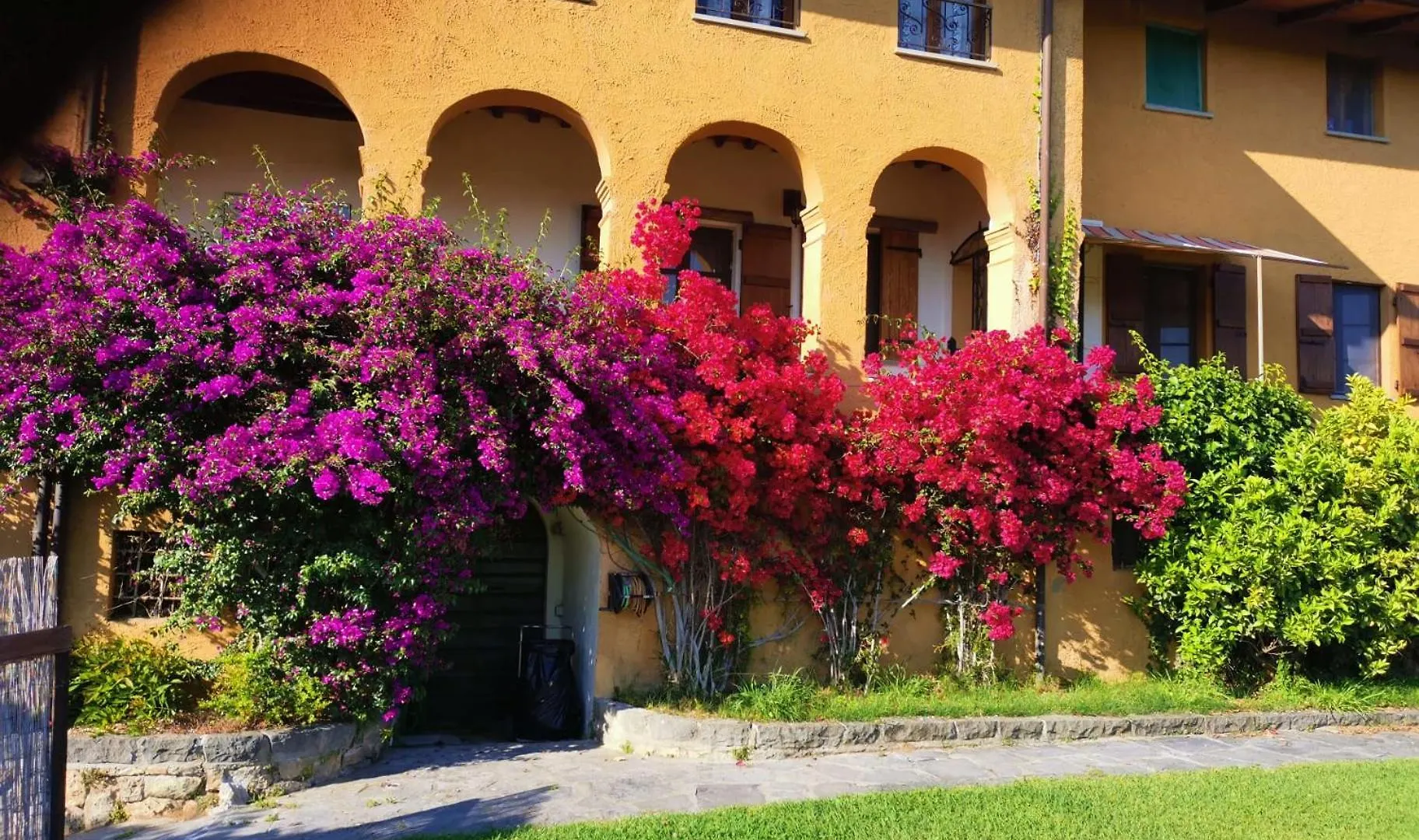 Il Carnasciale Pieve Di Camaiore -Bouganville-