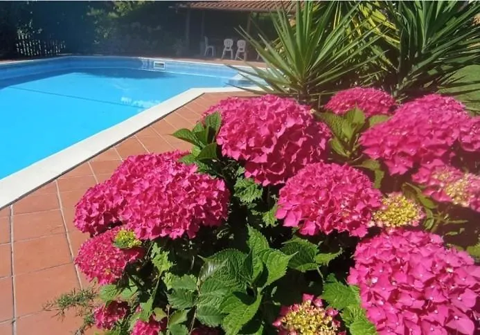 Il Carnasciale Pieve Di Camaiore -Bouganville- Prázdninový dům