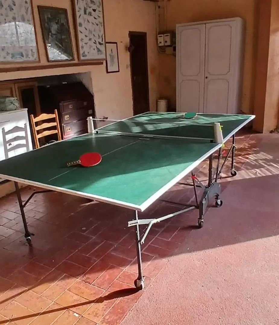 Il Carnasciale Pieve Di Camaiore -Bouganville- 0*,