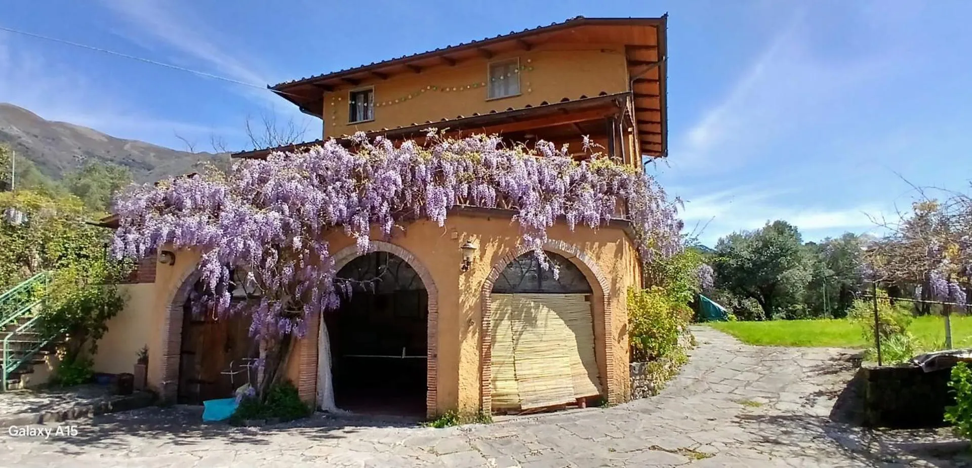 Il Carnasciale Pieve Di Camaiore -Bouganville-