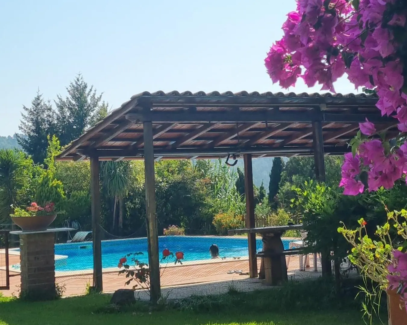 Il Carnasciale Pieve Di Camaiore -Bouganville- 0*,  Itálie