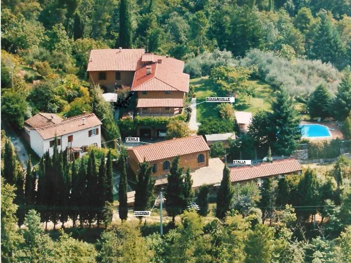 Il Carnasciale Pieve Di Camaiore -Bouganville-